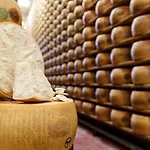 Lambrusco Monolocale Vicino Al Centro Di Universita E Policlinico דירה