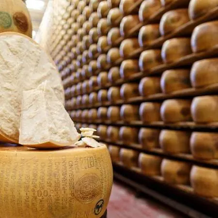 Lambrusco Monolocale Vicino Al Centro Di Universita E Policlinico Apartamento