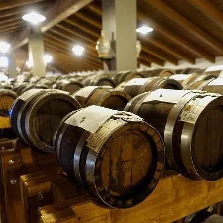 Lambrusco Monolocale Vicino Al Centro Di Universita E Policlinico * Módena