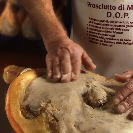 Apartamento Lambrusco Monolocale Vicino Al Centro Di Universita E Policlinico