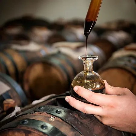 Lambrusco Monolocale Vicino Al Centro Di Universita E Policlinico Apartamento Módena