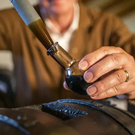 Lambrusco Monolocale Vicino Al Centro Di Universita E Policlinico *