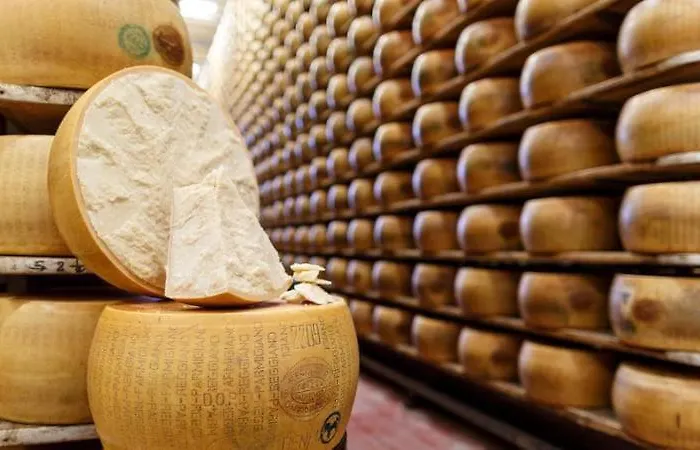 Lambrusco Monolocale Vicino Al Centro Di Universita E Policlinico 아파트