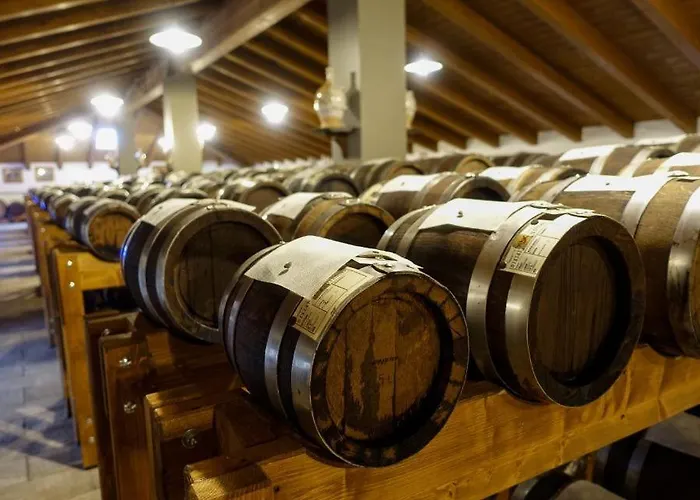 Lambrusco Monolocale Vicino Al Centro Di Universita E Policlinico * 모데나