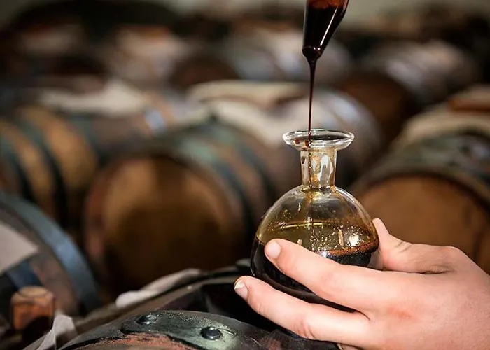 Lambrusco Monolocale Vicino Al Centro Di Universita E Policlinico 아파트 모데나