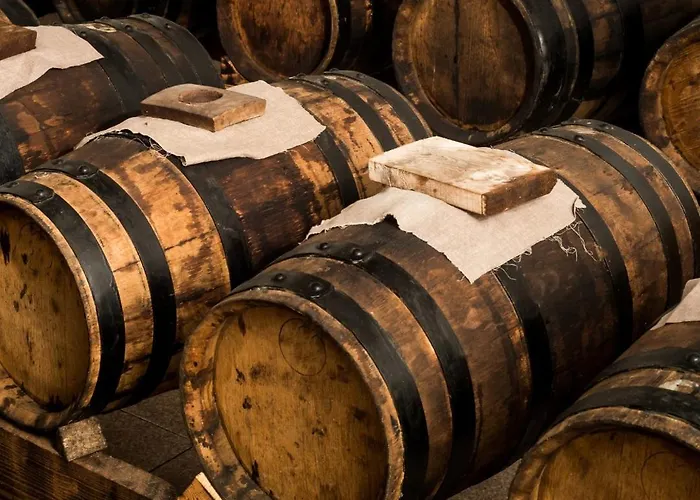 아파트 Lambrusco Monolocale Vicino Al Centro Di Universita E Policlinico